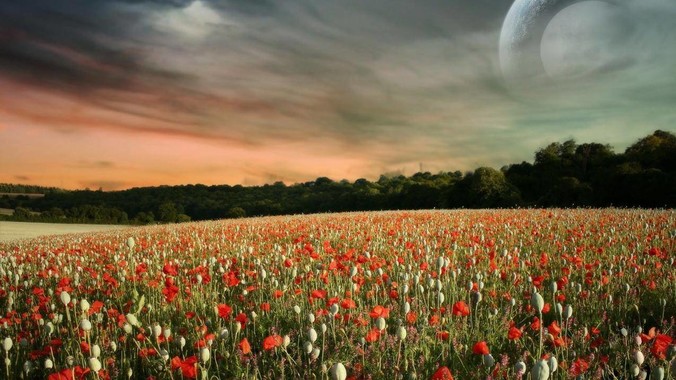 阿里云为什么没有一年的免费云服务?